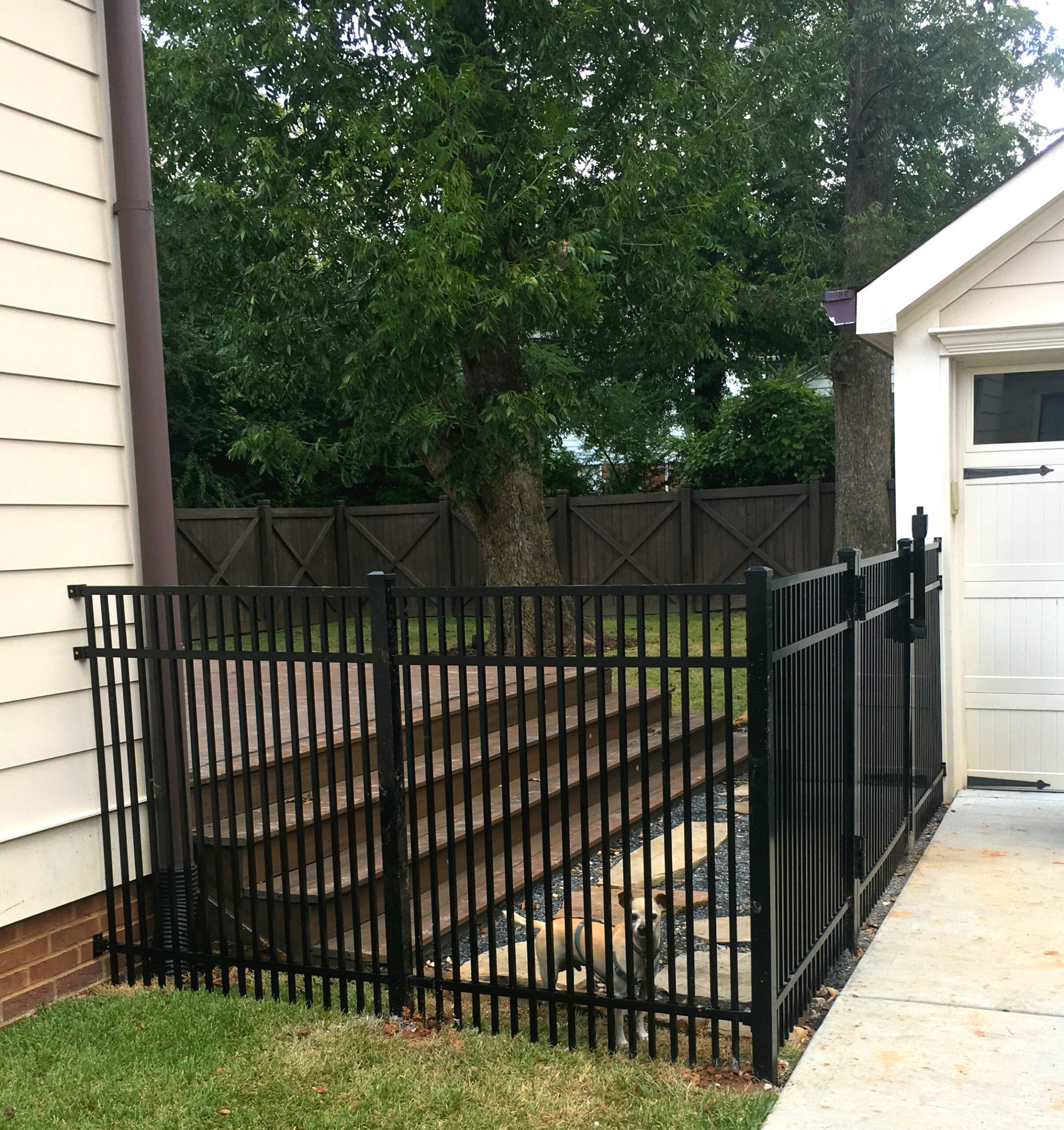 Black metal aluminum fence for pet security with a house and trees in the background.