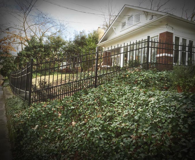 House with a black metal fence and greenery in the foreground