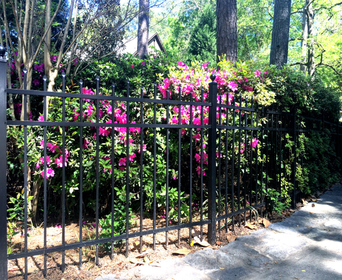Black metal fence with pink flowers and greenery in a garden setting