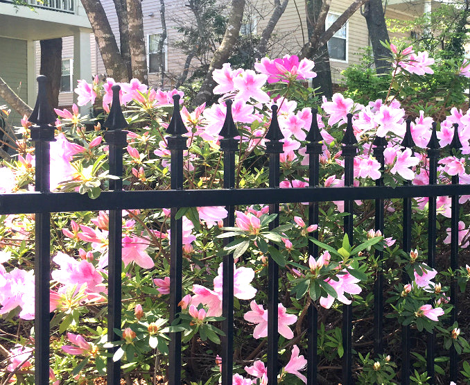 Aluminum Fence Finials installed on an aluminum fence.