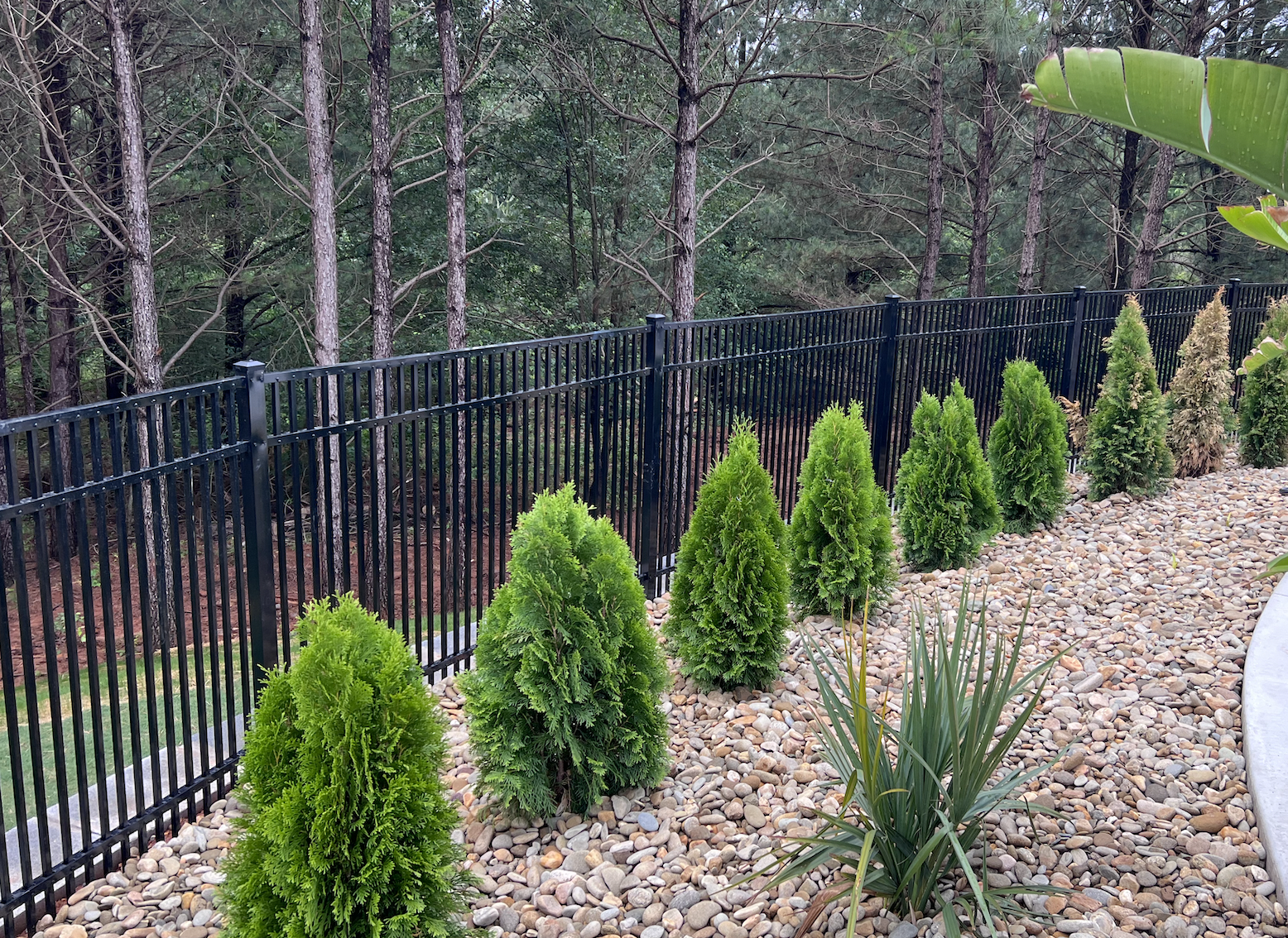 Black aluminum fence on a retaining wall and trees in the background.